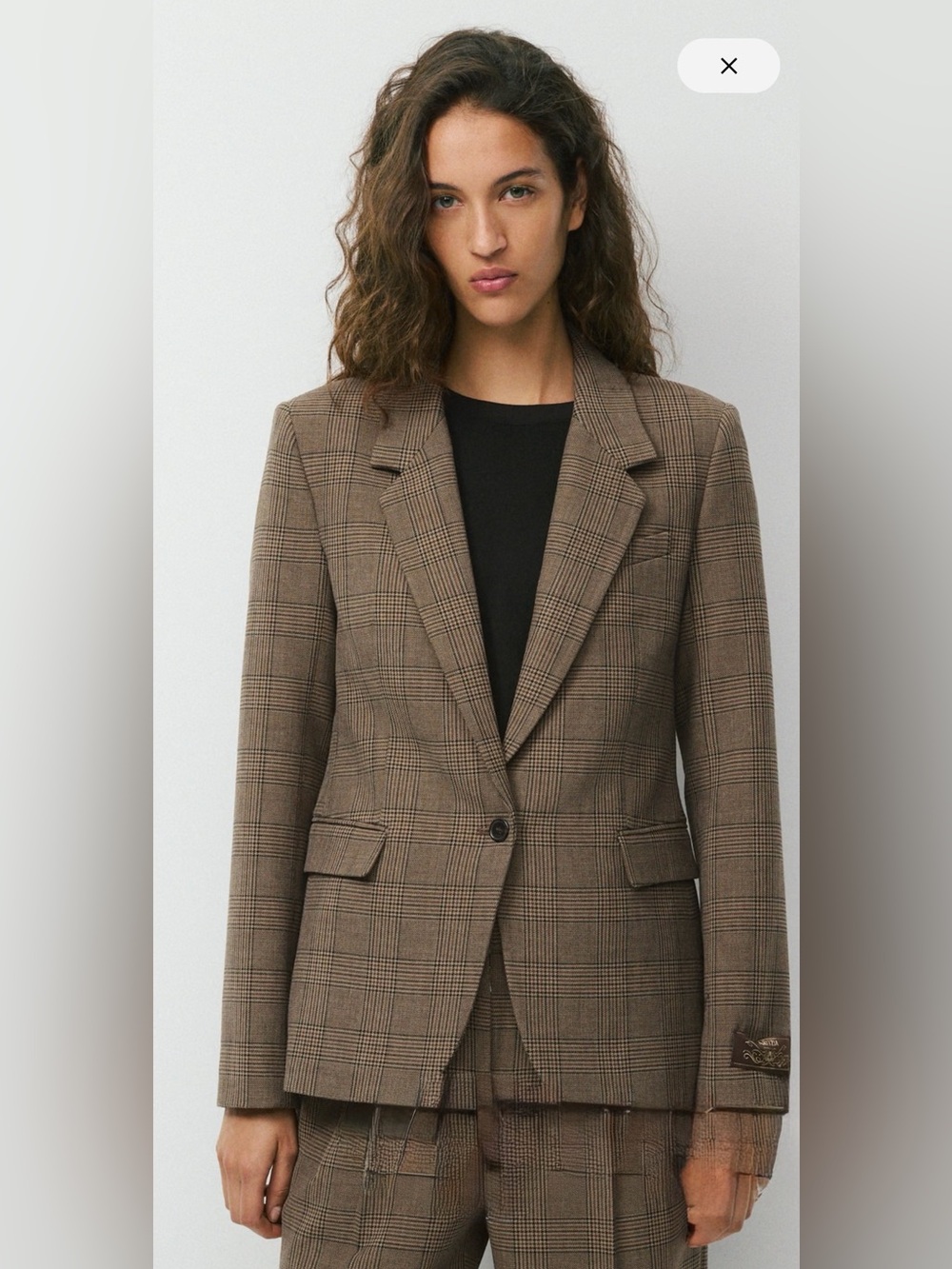 Aritzia Producer Blazer - Eversential™